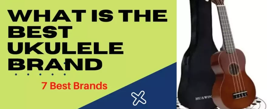 What is the Best Ukulele Brand – 07 Best Ukulele Brands in 2022