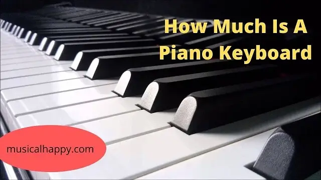 How Much Is A Piano Keyboard-You’ll Be Surprised!